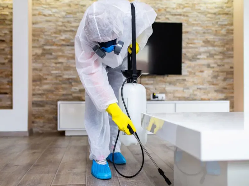 Pest Control Solutions: Ensure a Healthy and Safe Environment