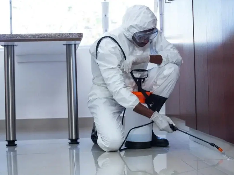 Best Pest Control Services in Muscat – Safe Environment with Water Leak
