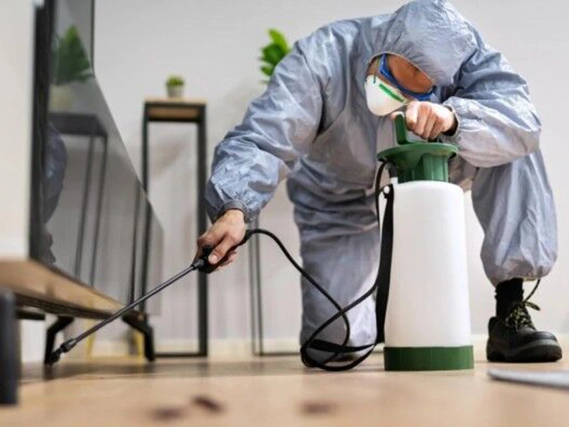 Effective Pest Control Methods for Homes and Buildings – Water Leak Services